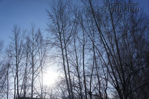 SONY DSC